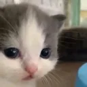 huh huh