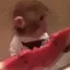 gglmonkeyeats