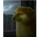 cheems_cryy