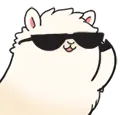alpacaCool