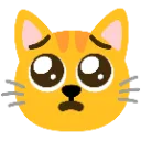 pleadingcat