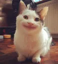 emoji_93