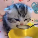 czcatsip Discord Emoji