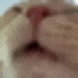 SLURP
