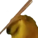 bonk