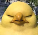 Angwyfatchocobo
