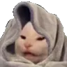 blanketcat
