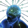 JG_bigbraintime