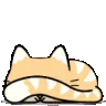 shy