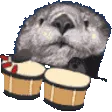 HardyBongo
