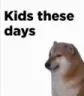 kidsthesedays