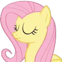 FlutterNo1