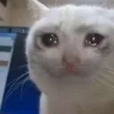 crycat
