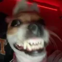 hehe