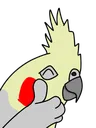 birbthumbsup birbthumbsup