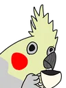 birbtea