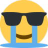 cryingSunglasses