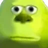 bruh bruh