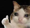 sadcatthumbsup