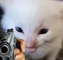 SayGoodnightCat