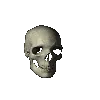 skull_spin skull_spin