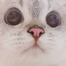 nana