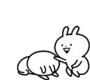 sus_pat
