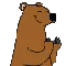 happybear happybear