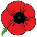 poppy poppy