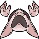 despair despair