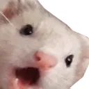 POGGIES