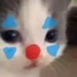 catpiada Discord emoji