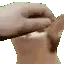 pet