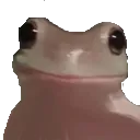starefrog
