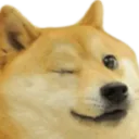 Dogewink dogewink Discord Emoji