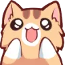 kittyaaah