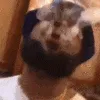 lebronpack