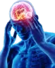 BrainBigger BrainBigger