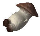 bruh