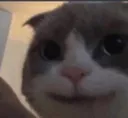 CF_meoluom