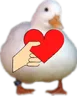 ducklove ducklove