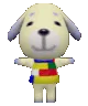 daisytpose