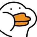CC_h_vit