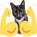 muscle_cat muscle_cat