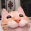 k_catsmile