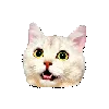 2471catsurprize