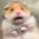 rat_scared_