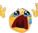whyyy