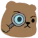 bearinspect