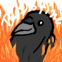crowisfine